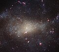 NGC 4242 is a dim galaxy in Canes Venatici.[25]