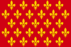 Flag of Prato