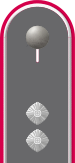 Dienstgradabzeichen auf der Schulterklappe der Jacke des Dienstanzuges für Heeresuniformträger der Panzertruppe.