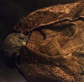The Huldremose Woman from 160 BCE - 340 CE found in a peat bog near Ramten, Jutland, Denmark