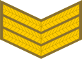 Sergeant (South African Army)[79]