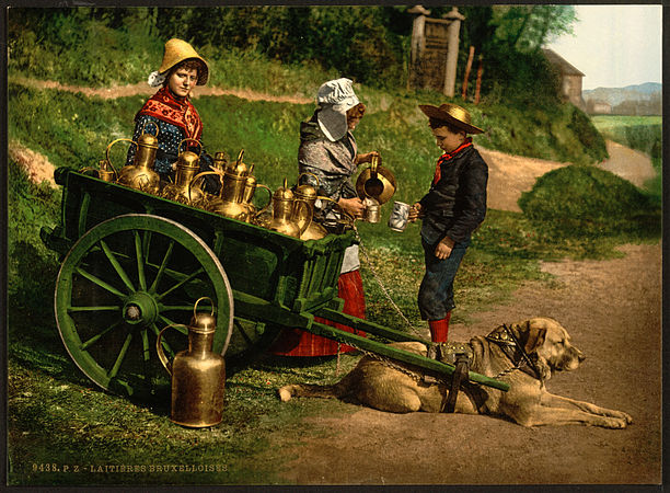 A photochrom of Belgian milk peddlers with a dogcart, c. 1890–1900