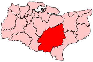 Ashford constituency