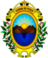 Coat of arms of Pisco