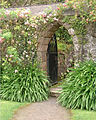 Gateway at Castlewellan Arboretum