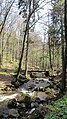 Harz - Bergbach der Ilse im unterem Laubwaldbereich