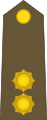 Lieutenant en premier (Luxembourg Army)[17]