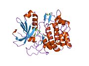 2jdo: STRUCTURE OF PKB-BETA (AKT2) COMPLEXED WITH ISOQUINOLINE-5-SULFONIC ACID (2-(2-(4-CHLOROBENZYLOXY) ETHYLAMINO)ETHYL) AMIDE