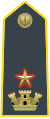 Major, commanding officer
