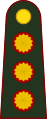 General de división (Argentine Army)[4]