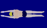 Top view of the breaststroke