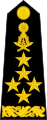 General of the army