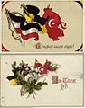 World War I-era propaganda postcards depicting the flags of the Central Powers. The Austro-Hungarian flag shown as black-yellow
