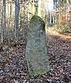 „Hunnenstein“ – Menhir im Wald von Niederdossenbach
