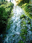 Waterfall at La tigra national Park