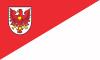 Flag of Drezdenko