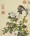 Chrysanthemums from the Xian'e Changchun Album by Giuseppe Castiglione (1688-1766)