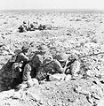 Australian soldiers at Tobruk in 1941.