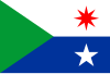 Flag of La Asunción