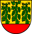 Grafenberg