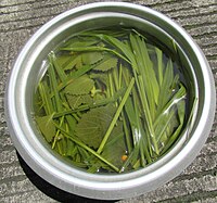Herbal tea from boiled various native herbs
