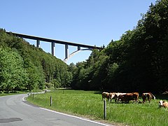 Talbrücke Wilde Gera