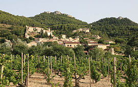 View of Gigondas and its vineyard