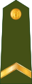 Kaprālis (Latvian Land Forces)[40]