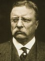 Former President Theodore Roosevelt of New York (Withdrawn during 3rd Ballot)