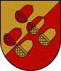 Coat of arms of Viesīte