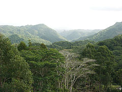 Tropical rain forest near in the heart of Topes de Collantes, Sancti Spíritus Province