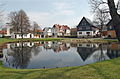 Village pond in the anger of Hönbach (Thuringia)