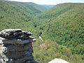 The Blackwater Canyon, a rugged gorge in eastern West Virginia