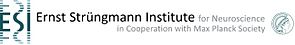 Ernst Strüngmann Institute for Neuroscience in Cooperation with Max Planck Society