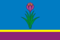 Flag of Mozdok