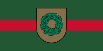Flag (2010–2021)
