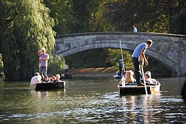 Punting in summer on the Cam