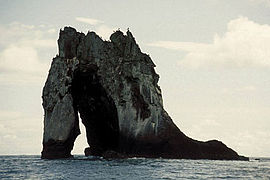 Gorgona Island Cauca