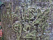"Haisy 92" carved on a tree; the characters have stretched as the tree has grown