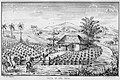 Image 20Tobacco fields in Cuba, 1859 (from History of Cuba)