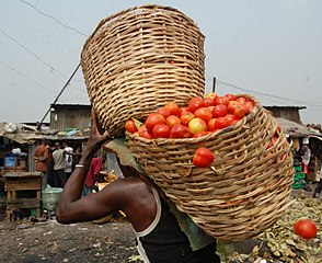 Man carrying tomatoes in wicker baskets, Nigeria, 2017
