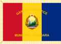 Flag of the Patriotic Guards (back)