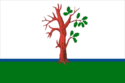 Flag of Starodub