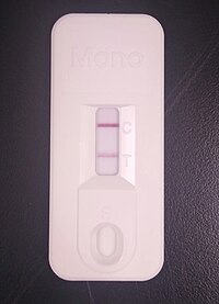 A white plastic cassette containing an opening for introducing a blood sample and a viewing window in which two pink lines, labelled "C" and "T", can be seen.
