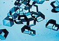 Image 14Synthetic insulin crystals synthesized using recombinant DNA technology (from History of biotechnology)