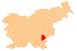 Location of the Municipality of Novo Mesto in Slovenia