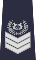 Senior staff sergeant (Singapore Police Force)[50]