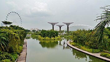 Singapore Gardens by the Bay 08