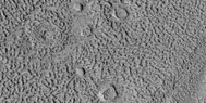 Group of ring-mold craters, as seen by HiRISE under HiWish program