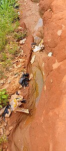 A Gully formed by flood in Isuaniocha community of Anambra State, Nigeria